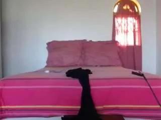 Annalon webcams show profile image 