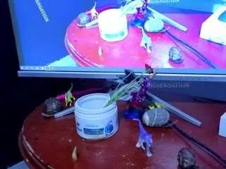 Bigsensation21ss webcams show profile image 