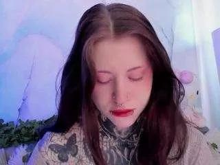 Vergillhell webcams show profile image 