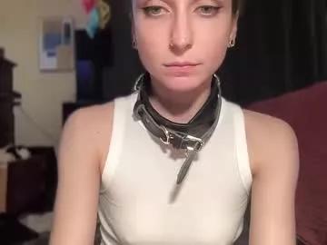 adventure_alexi from Chaturbate is Freechat