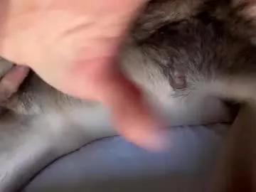 alanj782 from Chaturbate is Freechat