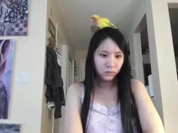 alizezaide from Chaturbate is Freechat