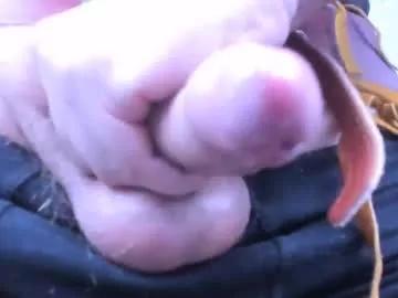 armandosteel from Chaturbate is Freechat