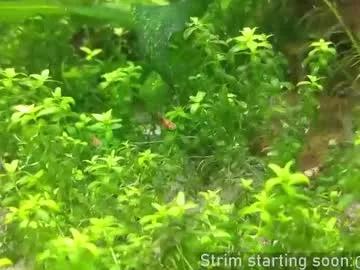 booker_baxton from Chaturbate