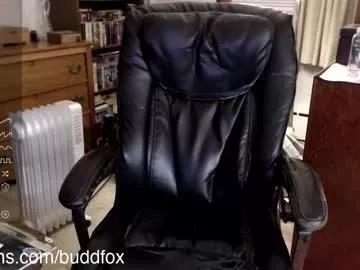 buddfox from Chaturbate