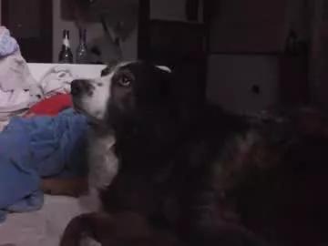 bufu21 from Chaturbate