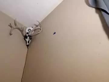 bunniehopps19 from Chaturbate is Freechat