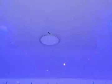 conny_curly from Chaturbate