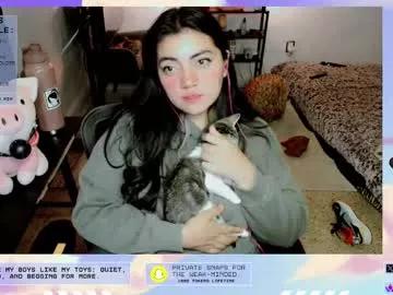 cuteambervi from Chaturbate is Freechat