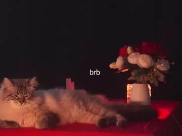 hannasthesia from Chaturbate