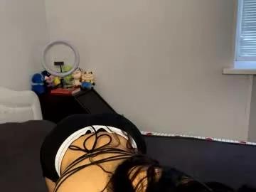 harolddierolf from Chaturbate is Freechat