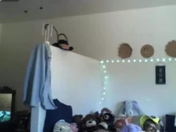 Ibpms247 webcams show profile image 