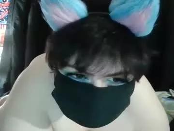 Kittykemi webcams show profile image 