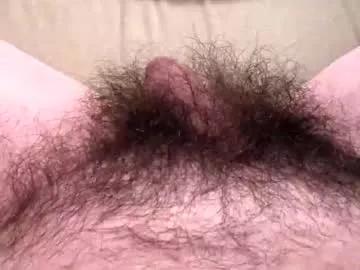 littlebush3000 from Chaturbate