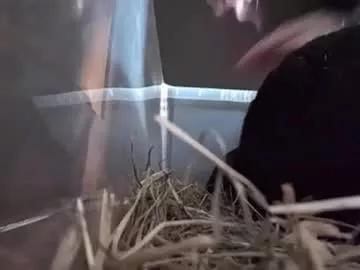 lizzyylovesick from Chaturbate