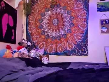 Maevedotexe webcams show profile image 