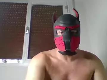 Maskpor2022 webcams show profile image 