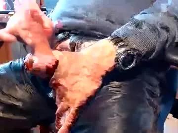 naaapa from Chaturbate