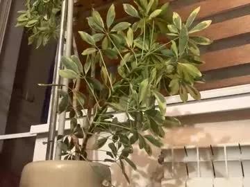 passiongirl7 from Chaturbate is Freechat