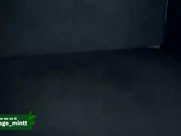 savage_mint from Chaturbate is Freechat