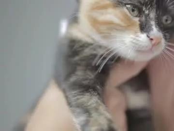 selly__madelline from Chaturbate