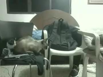 skanky_little_dolls from Chaturbate is Freechat