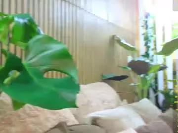 violetttttacb from Chaturbate is Freechat