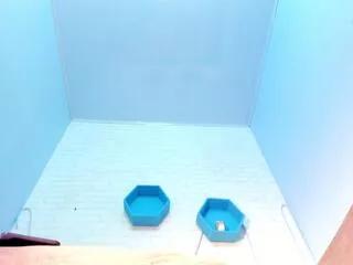 ivyy_bliss from Flirt4Free