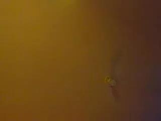 Jei_cox webcams show profile image 
