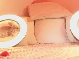 Kirsten_danston webcams show profile image 