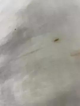 -S3x webcams show profile image 