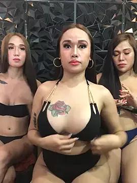 3sexygoddesspinaytrans from StripChat is Freechat