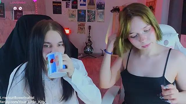Dirty chat webcam: explore liveshows with versed models, from laying bare to fetishes, in a variety of sexy free adult webcams.