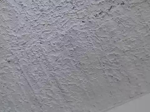 Alana__Foxxx from StripChat