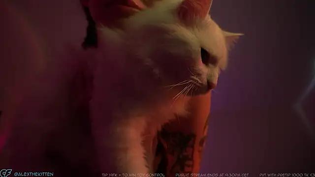 AlexTheKitten webcams show profile image 