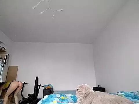 Dirty chat webcam: explore liveshows with versed models, from laying bare to fetishes, in a variety of sexy free adult webcams.