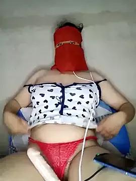 Arabica-21 webcams show profile image 
