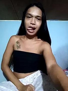 Asiancum1212 webcams show profile image 