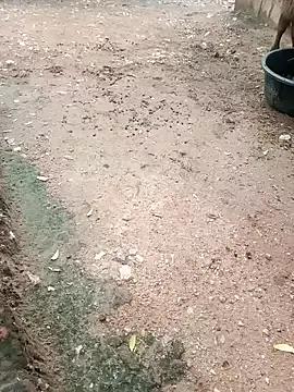 Babita_ranni from StripChat