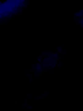 Babu_ki_rani from StripChat