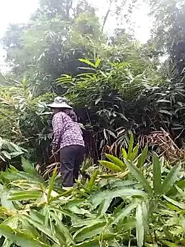 Be-yeu webcams show profile image 