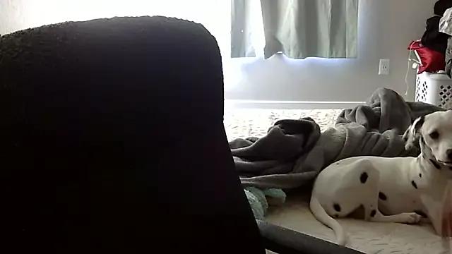 bxbydior from StripChat