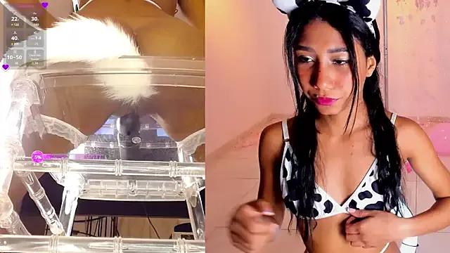 Dirty chat webcam: explore liveshows with versed models, from laying bare to fetishes, in a variety of sexy free adult webcams.