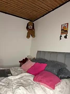 Dirty chat webcam: explore liveshows with versed models, from laying bare to fetishes, in a variety of sexy free adult webcams.