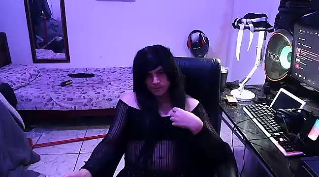 D4M4 from StripChat
