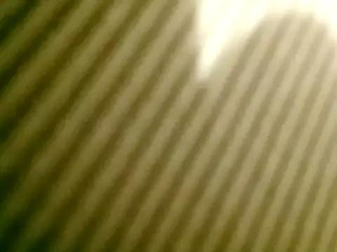Dam-Lissa from StripChat is Freechat