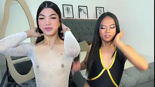 DashaKanelis webcams show profile image 