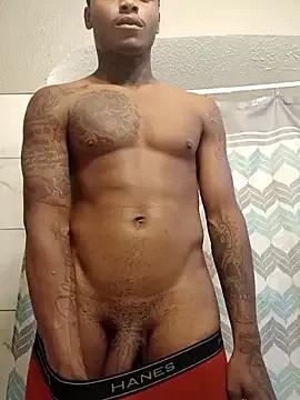 Dropdingo webcams show profile image 