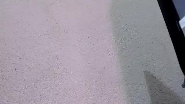 ebonycamelia from StripChat is Freechat