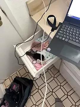 Exclusivenutxxx from StripChat is Freechat